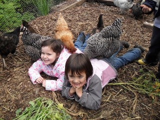 Why Families Choose Golden Poppy Preschool Corte Madera for Whole-Child Development